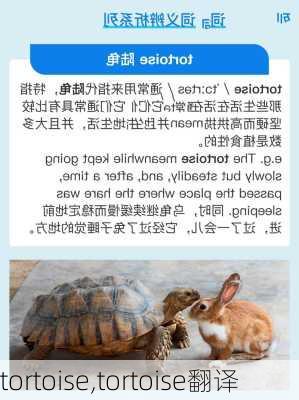 tortoise,tortoise翻译