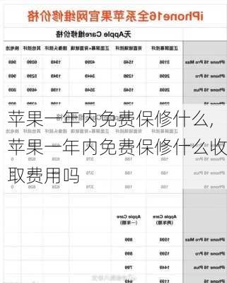 苹果一年内免费保修什么,苹果一年内免费保修什么收取费用吗