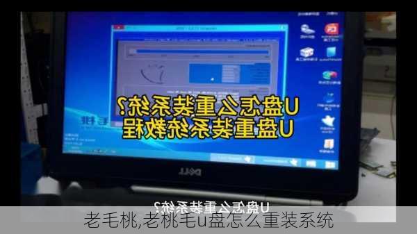 老毛桃,老桃毛u盘怎么重装系统