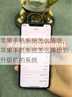 苹果手机系统怎么降级,苹果手机系统怎么降级到升级前的系统