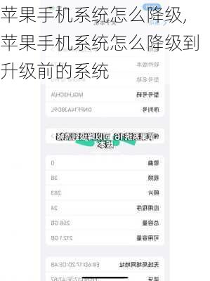 苹果手机系统怎么降级,苹果手机系统怎么降级到升级前的系统