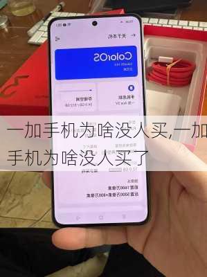 一加手机为啥没人买,一加手机为啥没人买了